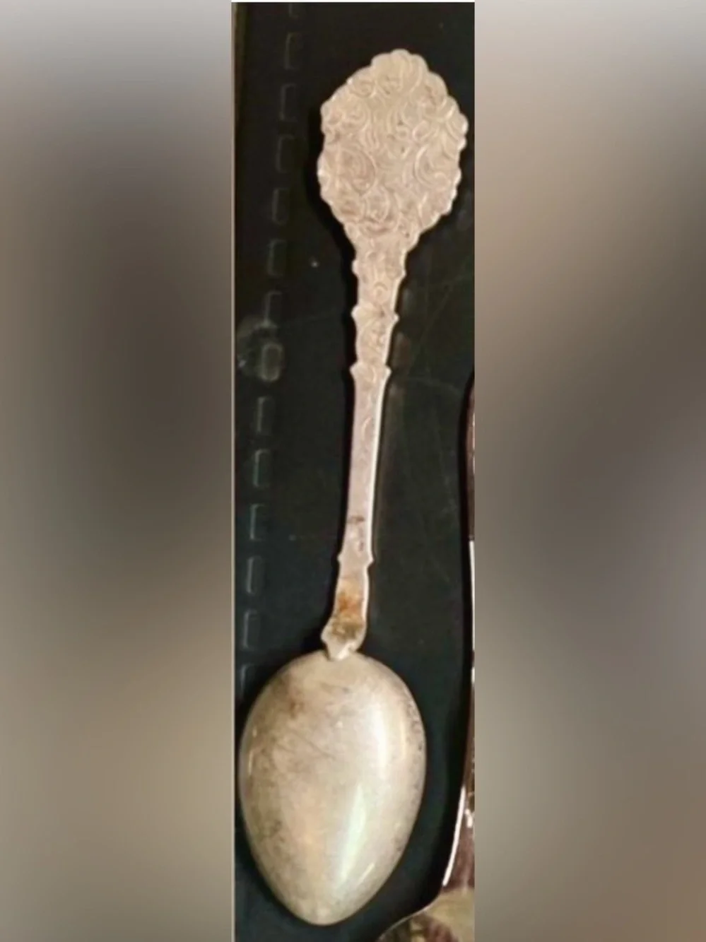 Souvenir Spoon- Vienna, Austria WIEN spanische reitschute Spanish Riding School